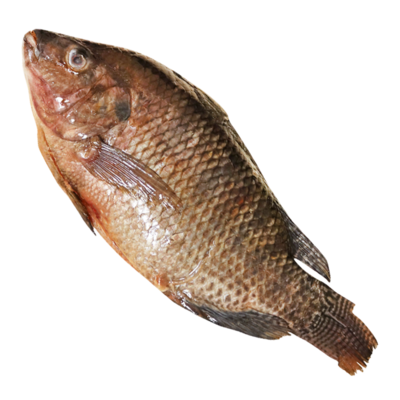 breams fish per kg