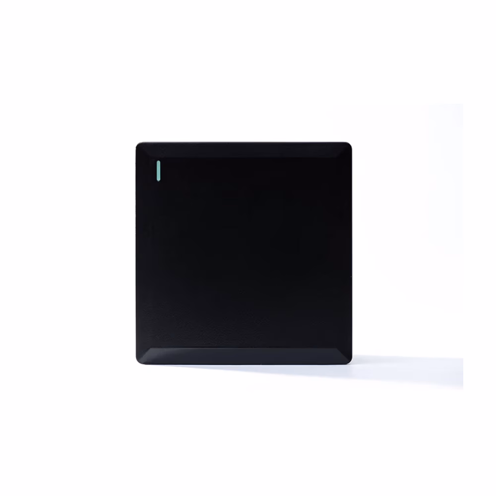 1g 1w Plate Switch Black