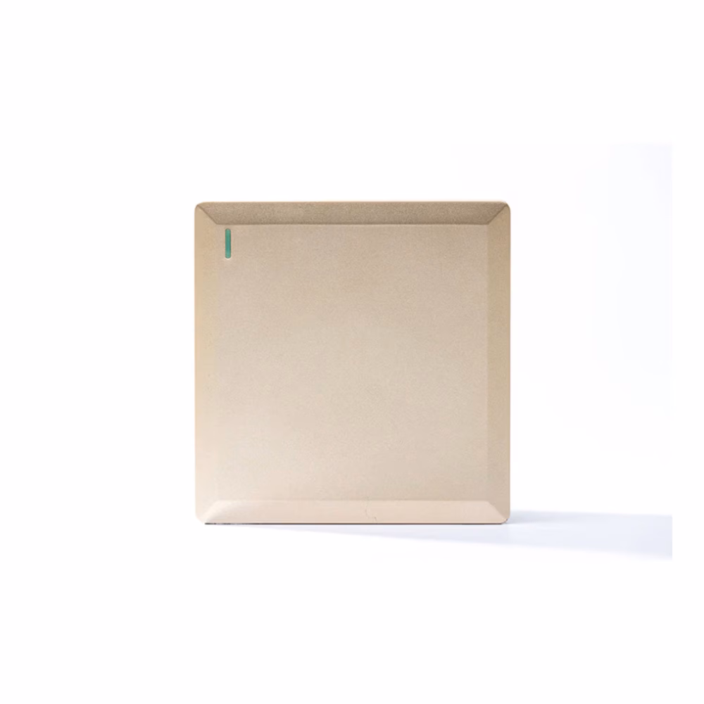 1g 1w Plate Switch Gold