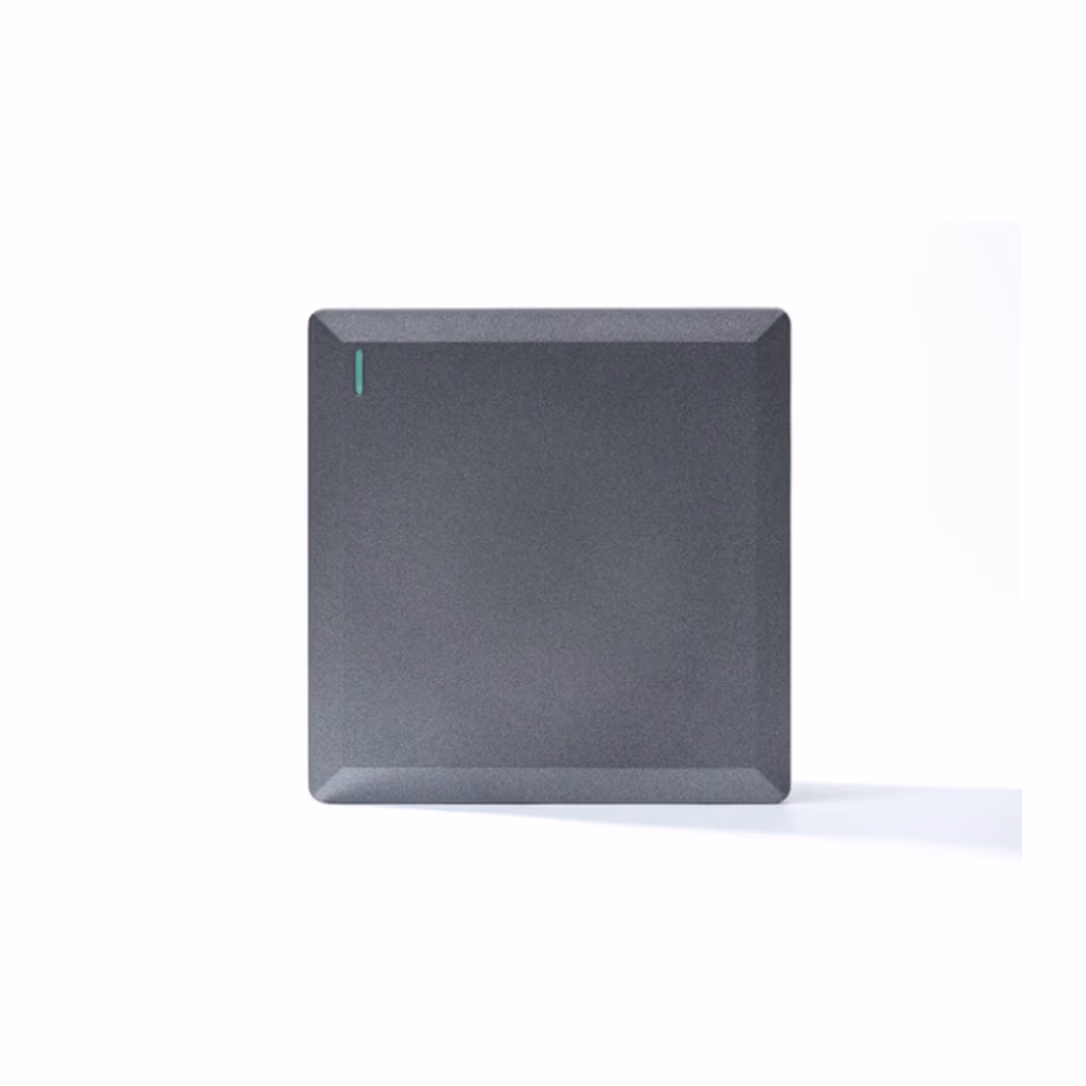 1g 1w Plate Switch Silver