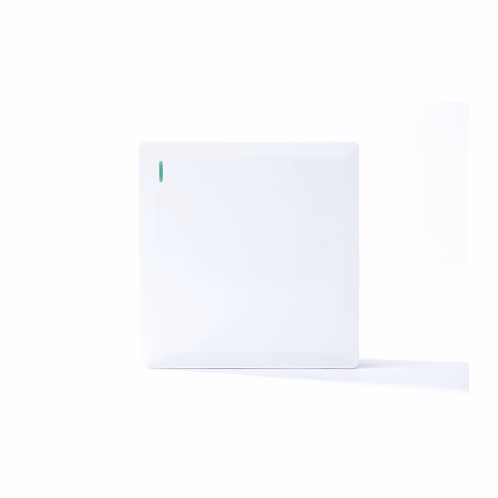 1g 1w Plate Switch White