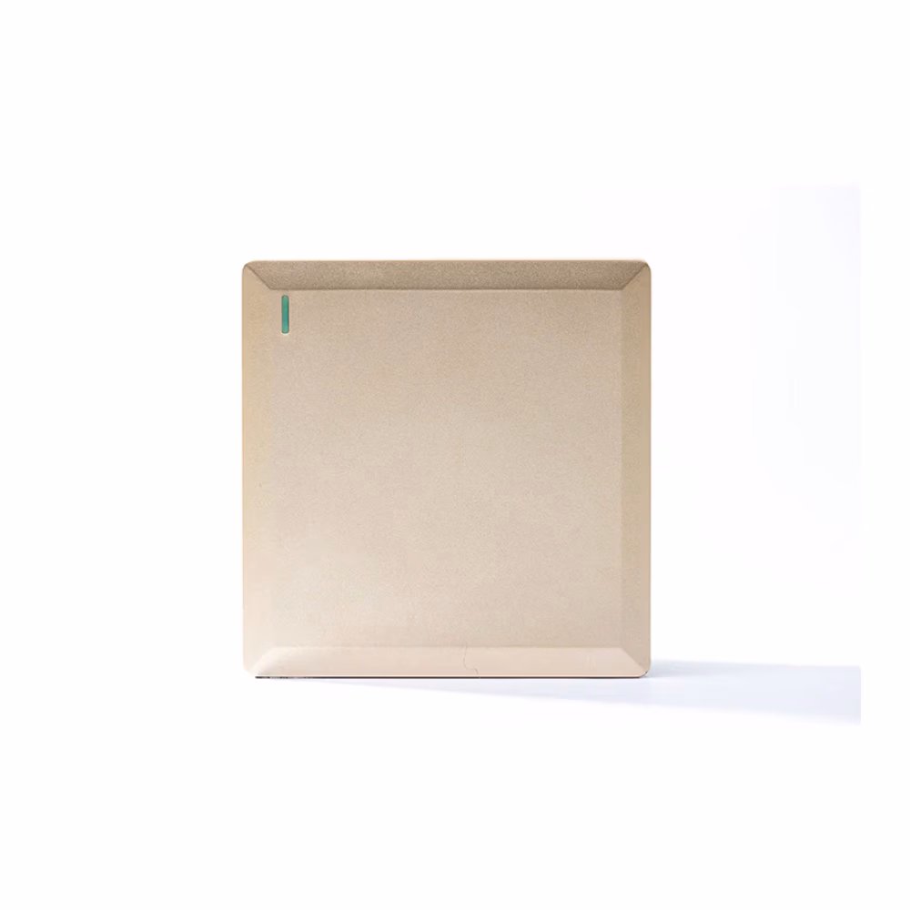 1g 2w Plate Switch Gold