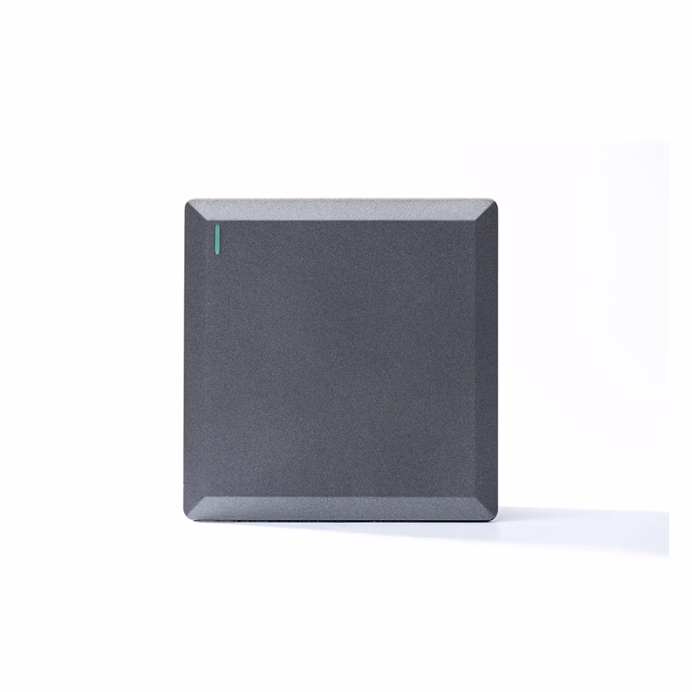 1g 2w Plate Switch Silver