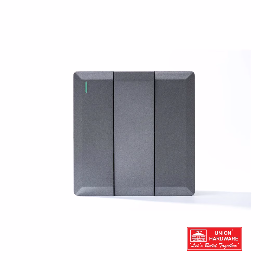 3G 2W PLATE SWITCH SILVER