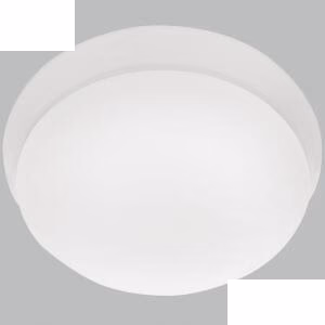 Bst Cf017 Small White