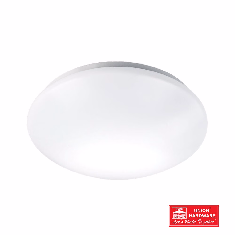 BST CF272 24W LED EMERGENCY