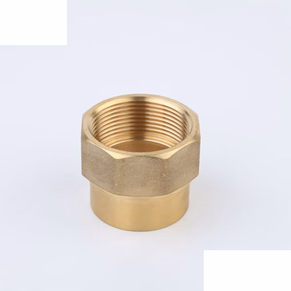Capillary C X Fi Coupling 20mm