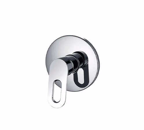 Franke Liscio Concealed Shower Mixer