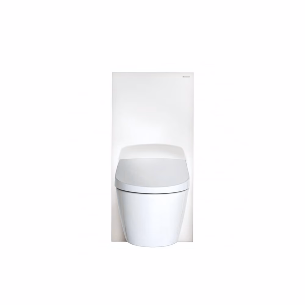 Geberit Monolith Wall Hung Toilet Frame White