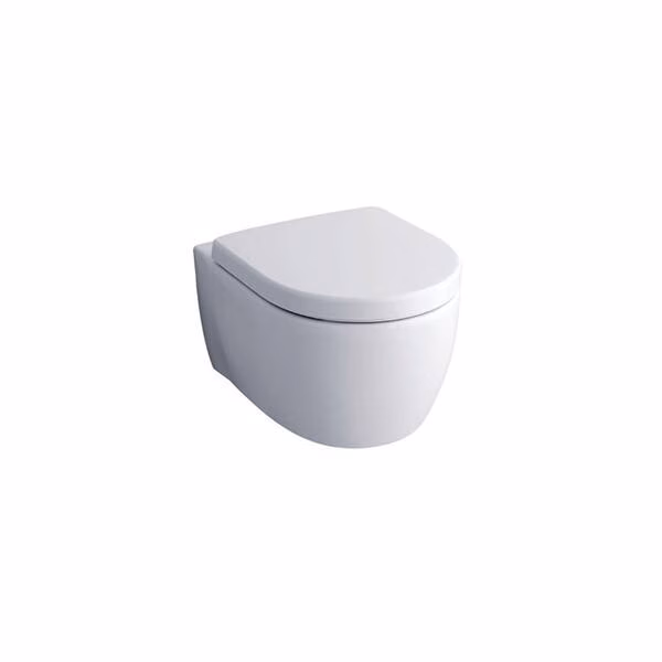 Geberit Wash-Down Wallhung Pan 530mm