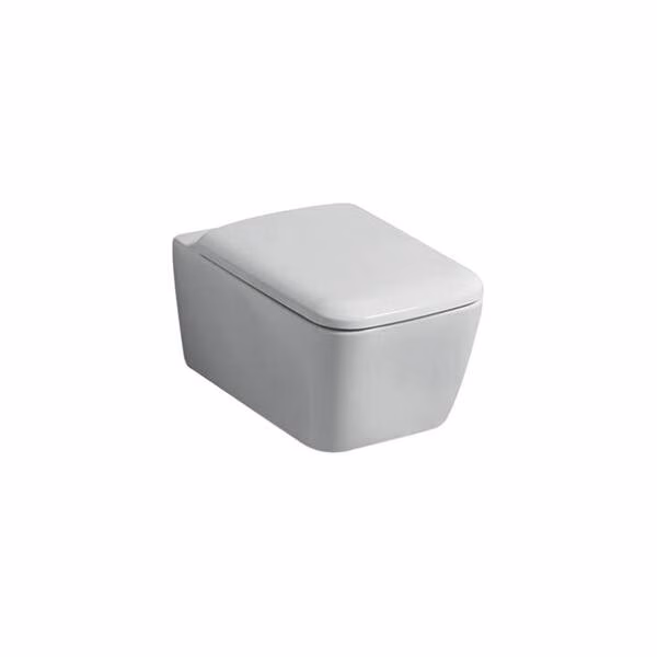 Geberit Washdown Wc Without Flushing Rim