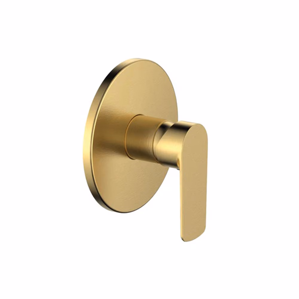 Cobra Seine Bath-Shower Conc Mixer Br Go