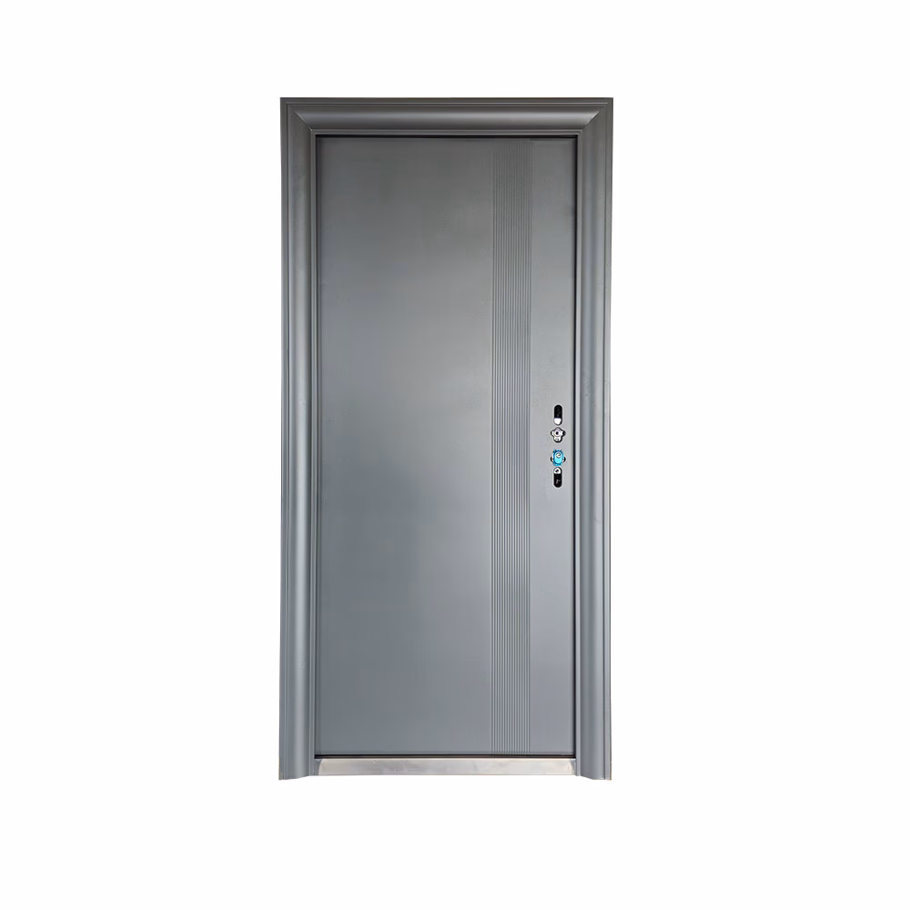Security Door 2050 X 960 Sdmn020