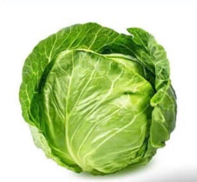 Green Cabbage