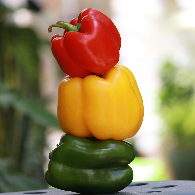 Bell Peppers