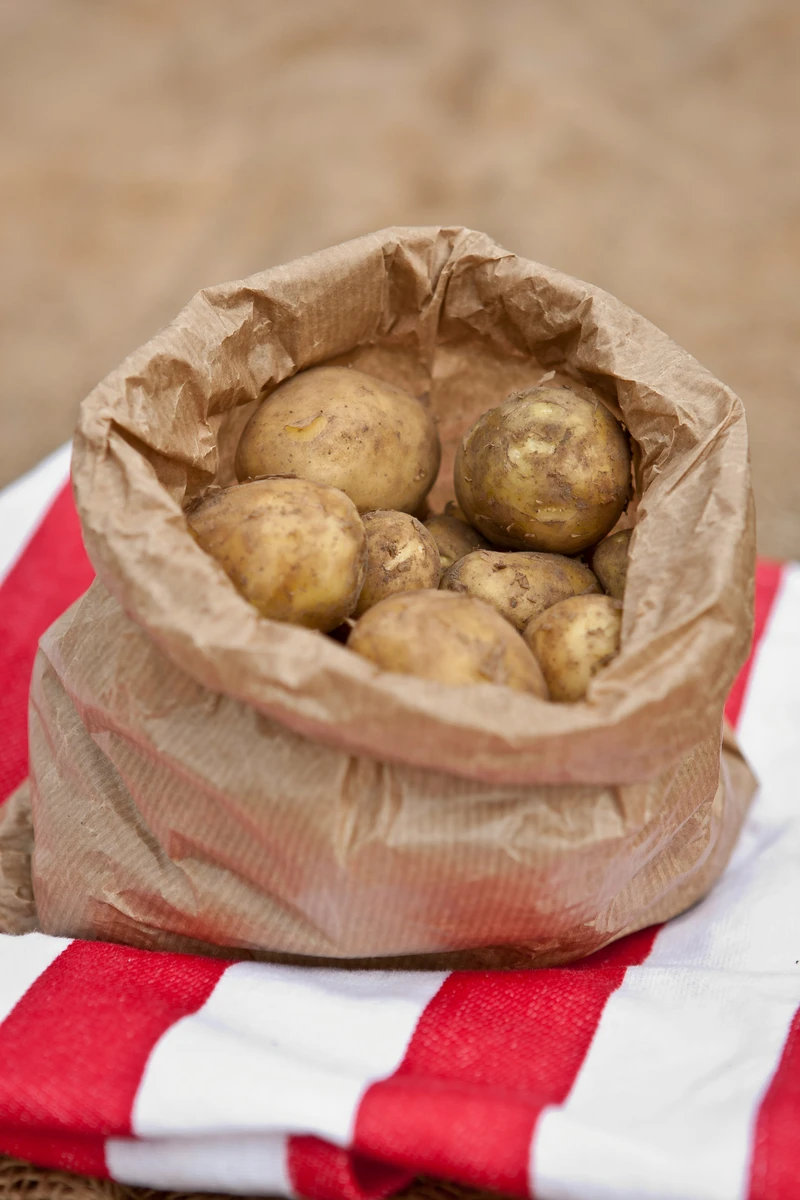 Potatoes Unwashed 10kg