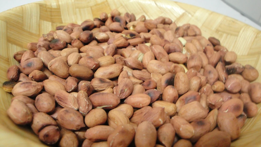 Salted Peanuts 100g